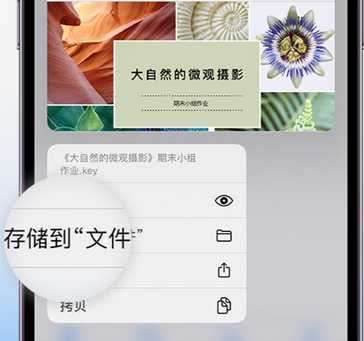 张金镇apple维修中心分享iPhone文件应用中存储和找到下载文件