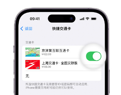 张金镇apple维修点分享iPhone上更换Apple Pay快捷交通卡手绘卡面 