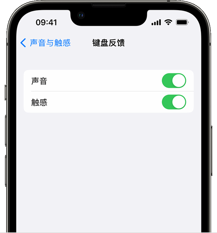 张金镇苹果14维修店分享如何在 iPhone 14 机型中使用触感键盘 