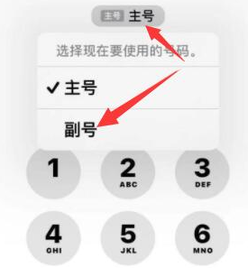 张金镇苹果14维修店分享iPhone 14 Pro Max使用副卡打电话的方法 