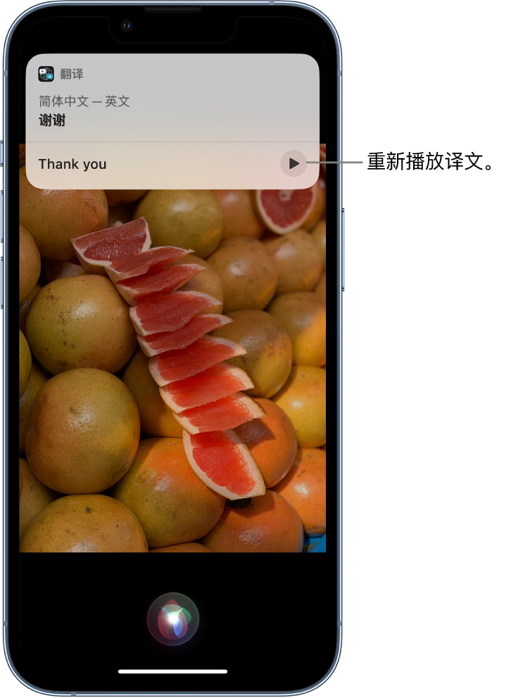 张金镇苹果14维修分享 iPhone 14 机型中使用 Siri：了解 Siri 能帮你做什么 