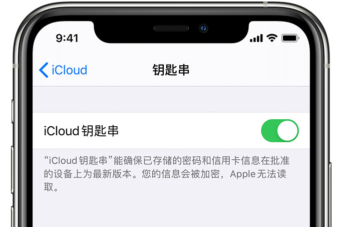 张金镇苹果手机维修分享在 iPhone 上开启 iCloud 钥匙串之后会储存哪些信息 