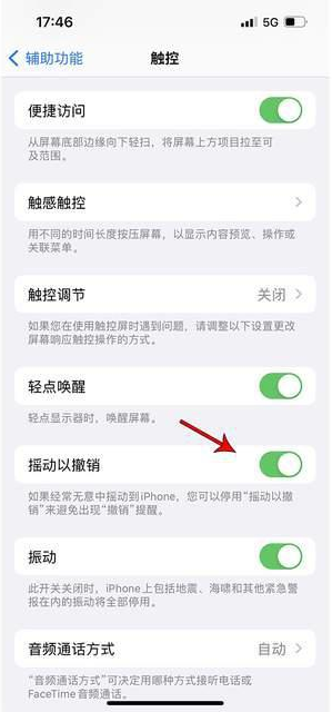 张金镇苹果手机维修分享iPhone手机如何设置摇一摇删除文字 