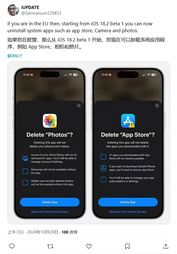 张金镇苹果手机维修分享iOS 18.2 支持删除 App Store 应用商店 