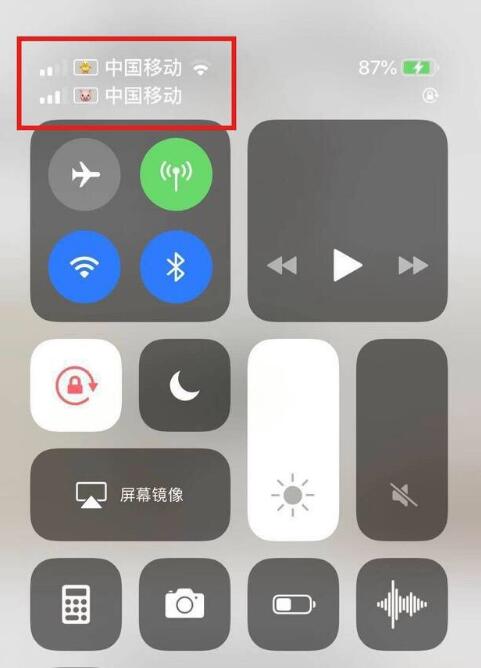 张金镇苹果手机维修分享为 iPhone 12 双卡设置标签 